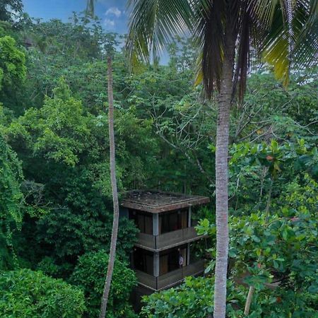 Taino Beach Lofts El Valle Ngoại thất bức ảnh