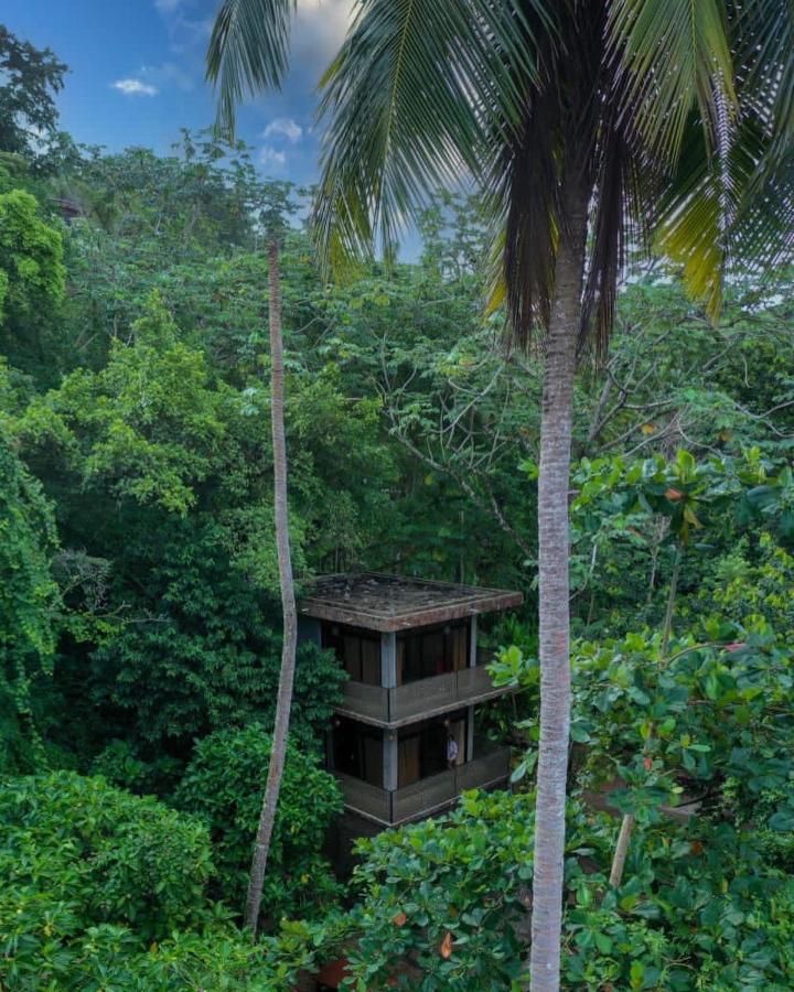 Taino Beach Lofts El Valle Ngoại thất bức ảnh